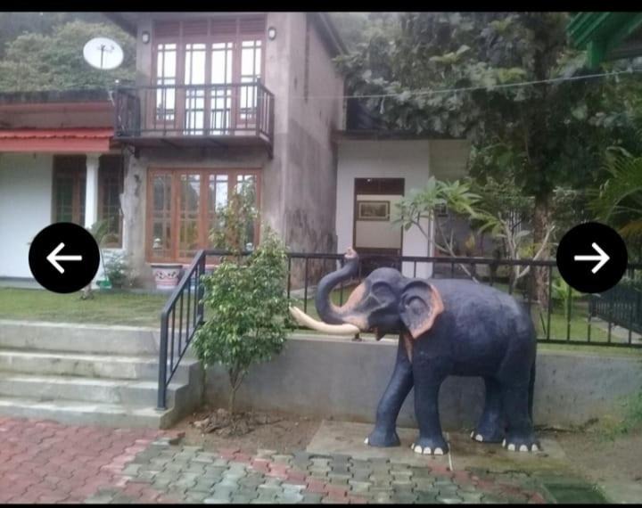 Damana House | Elephant View Hotel