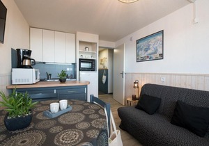 Appartement Saint-Lary-Soulan, 2 pièces, 4 personnes - FR-1-296-289