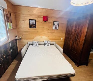 Premanon Apartment | Babaute 7, studio typique au pied des pistes