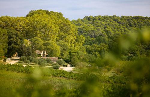 Saint-Antonin-du-Var House | Château Mentone