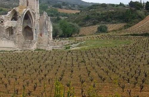 Portel-des-Corbieres Apartment | Charmant appartement entre mer et vignes