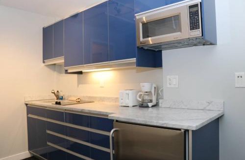 Back Bay Apartment | Comfortable Studio in Back Bay, Newbury St. #7