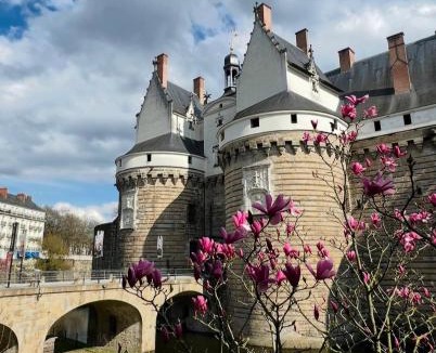Chateau Apartment | NOZA Appartement 65m2, 2 chambres - RDC, Parking gratuit, Nantes agglo Rezé