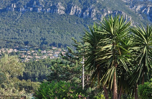 Le Revest-les-Eaux House | Quiet, small house in the hills above Toulon, close to all amenities.