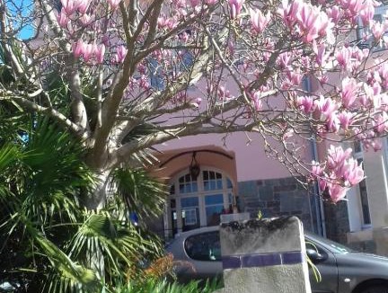 Haie Vigne Bed & Breakfast | Villa Helianthe