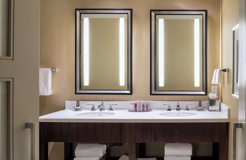 Lenox Hotel | Wyndham Atlanta Buckhead Hotel & Conference Center | 1 Double | Pet Friendly