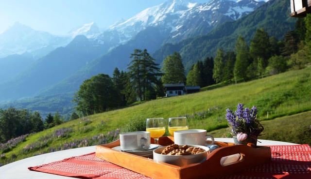 Apartment in Chalet- LES HOUCHES in Résidence de Tourisme MGM