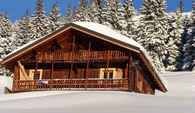 Authentic alpine chalet,