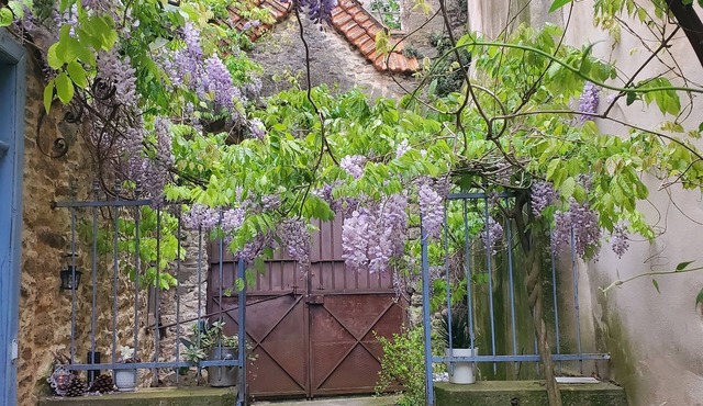 Authentic, family-run B&B 10 minutes from Carcassonne.