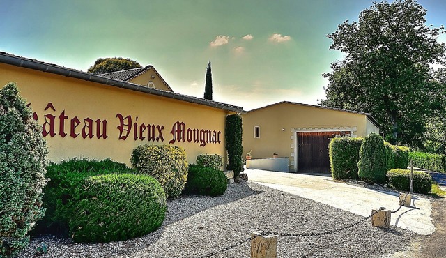 Château Vieux Mougnac - Holiday house near Saint-Emilion Bordeaux Vinexpo