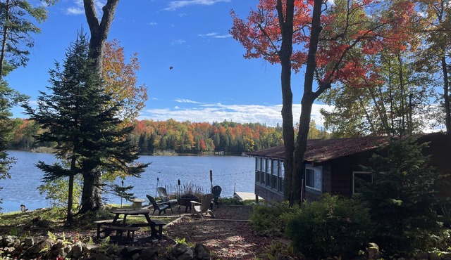 Cozy Adirondack cabin with private dock and kayaks, feet from Adirondack Lake