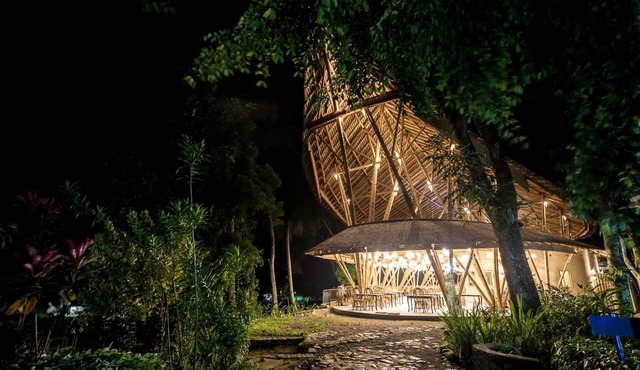Ecolodge Bukit Lawang