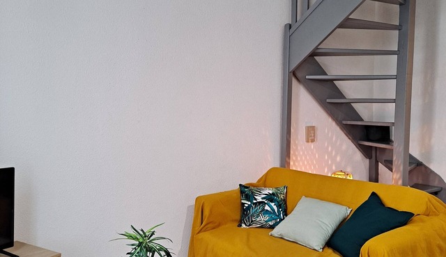 Entire apartment in the center of Nîmes