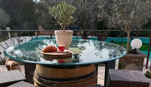 Exceptional villa for 14 people- Trans-en Provence