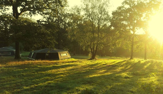 GITE D'OBSERVATION (4/6 pers) - Stopover in the forest