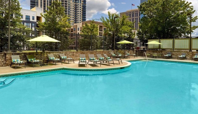 King | Wyndham Atlanta Buckhead Hotel & Conference Center | Pet Friendly