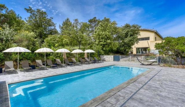 Le Mas de L'esteloun - Piscine & Spa - sleeps 20 people
