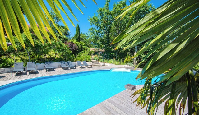 Le Triangle D'or - Le Chêne - Piscine - Gaillac