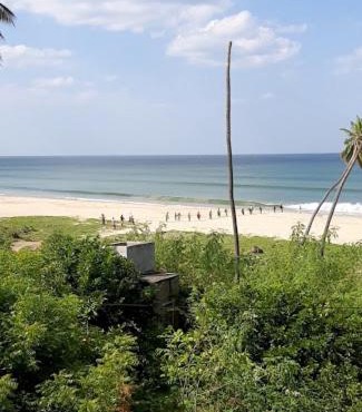 Ocean palms beach resort