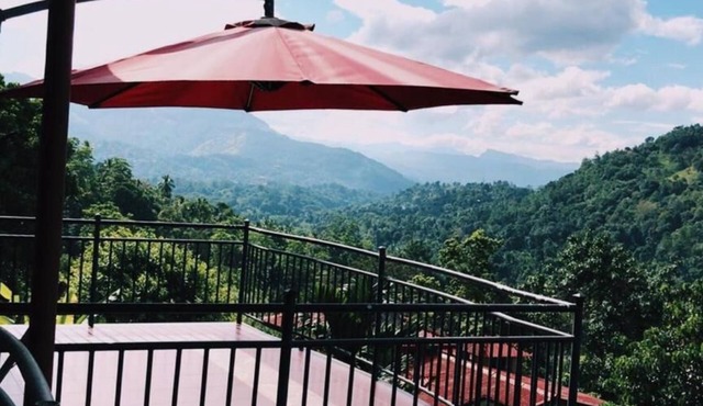 The Springfields Kandy