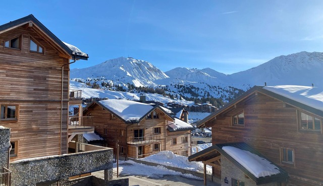 Top-of-the-range chalet Emeraude la Plagne, sleeps 10
