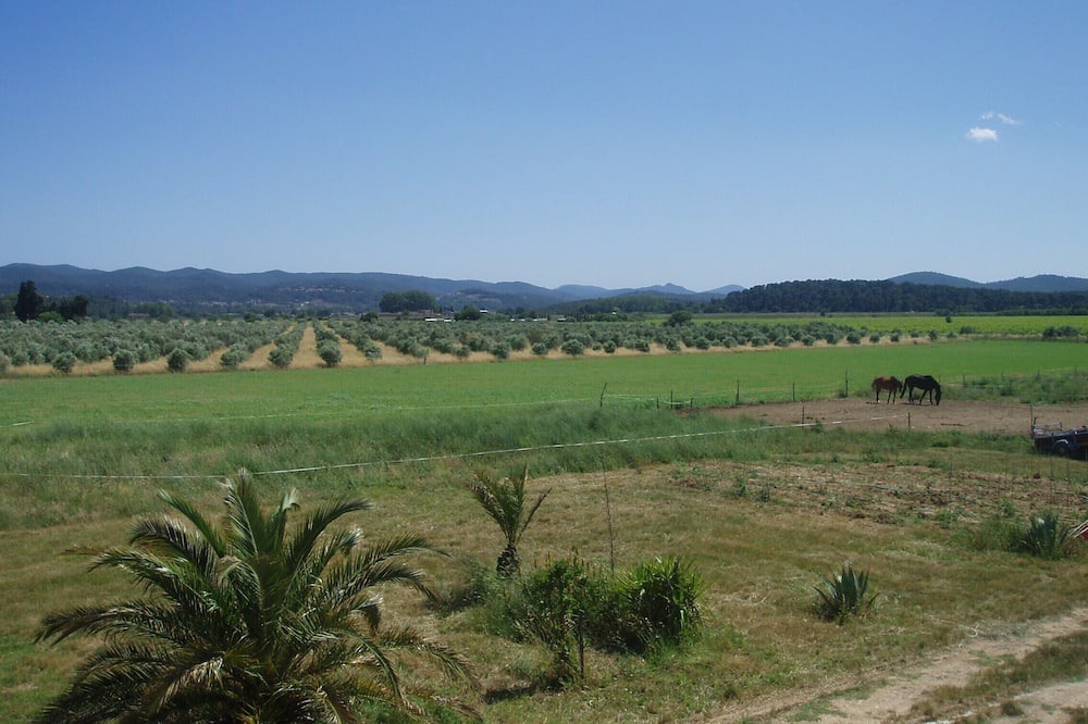 Photo of Outdoor in Puget-Ville