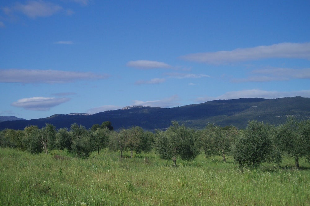 Photo of Outdoor in Puget-Ville