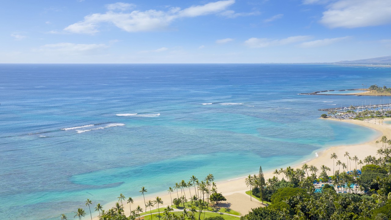 Photo of Others in Waikiki