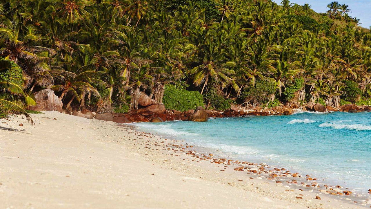 Photo of Others in Six-Fours-les-Plages