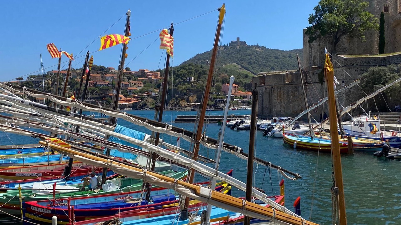 Photo of Others in Collioure
