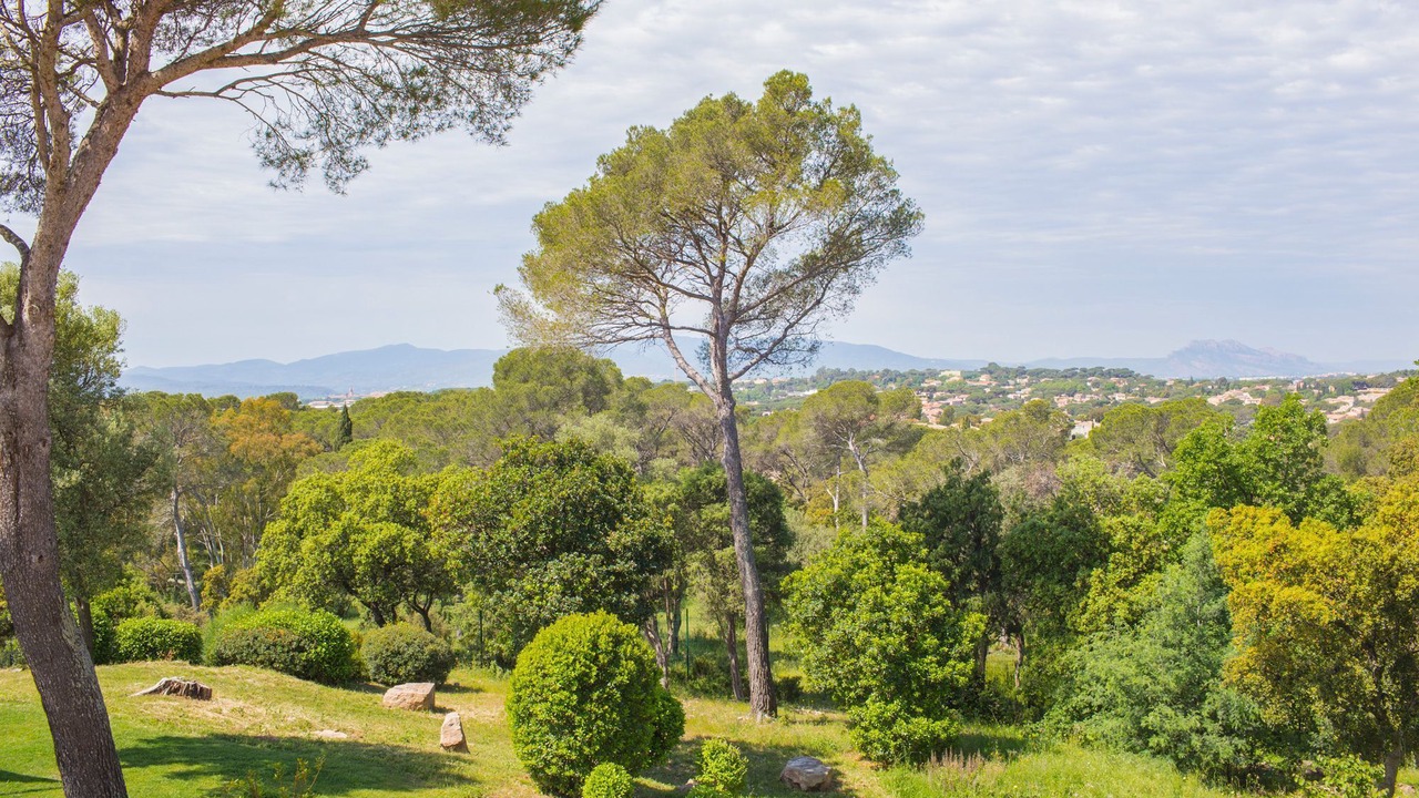 Photo of Others in Saint-Raphael