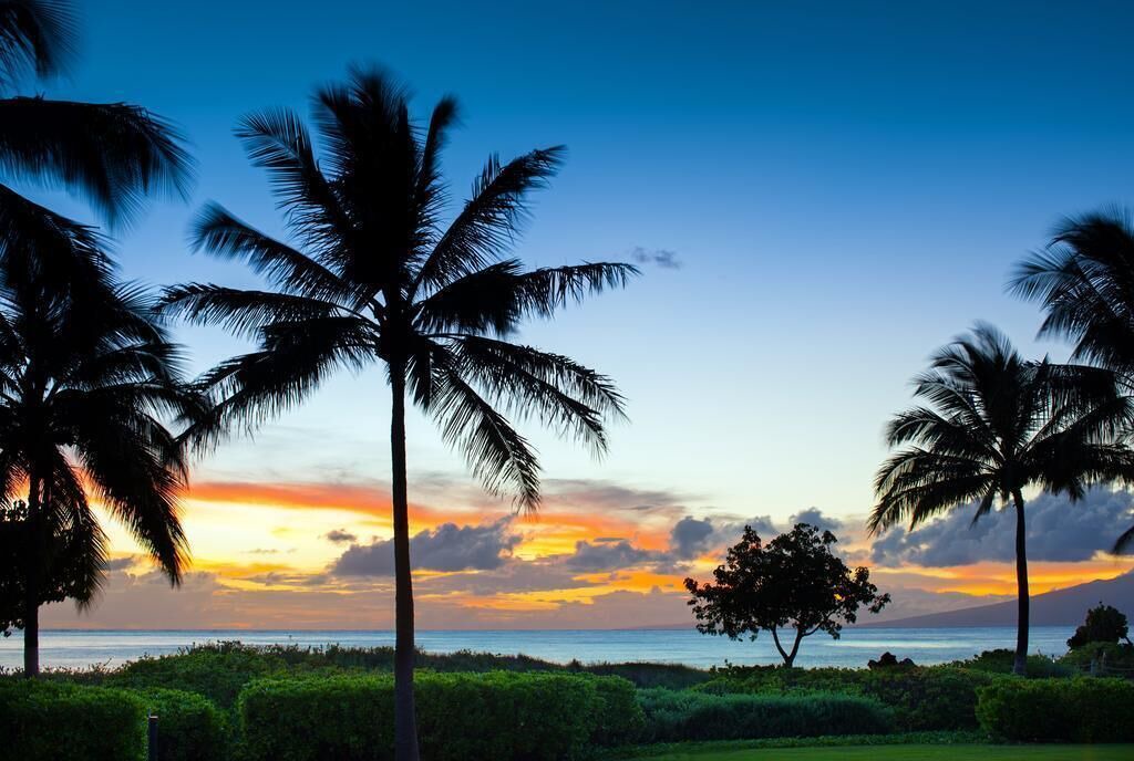 Photo of Others in Lahaina