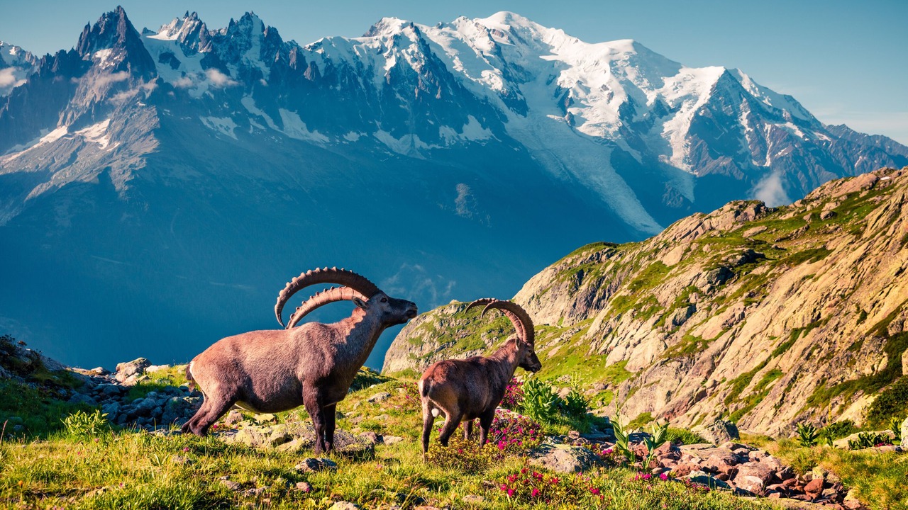 Photo of Others in Argentiere