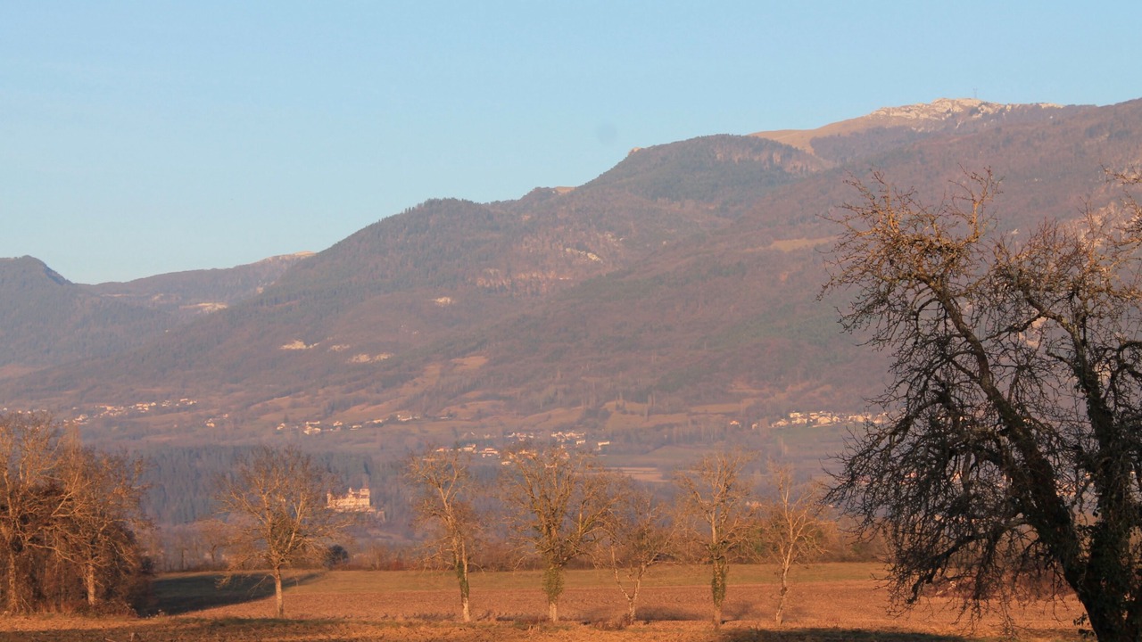 Photo of Others in Saint-Martin-de-Bavel