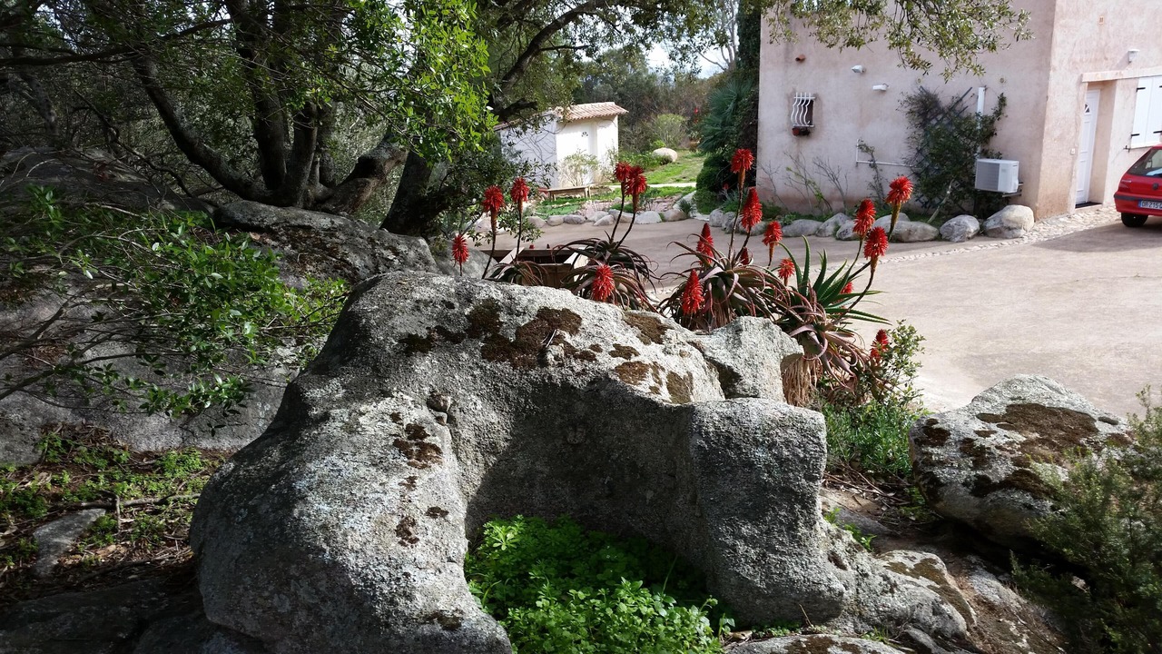 Photo of Outdoor in Porto-Vecchio