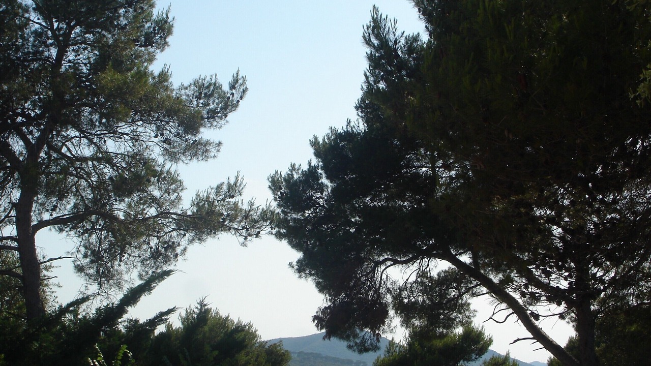 Photo of Others in Le Muy