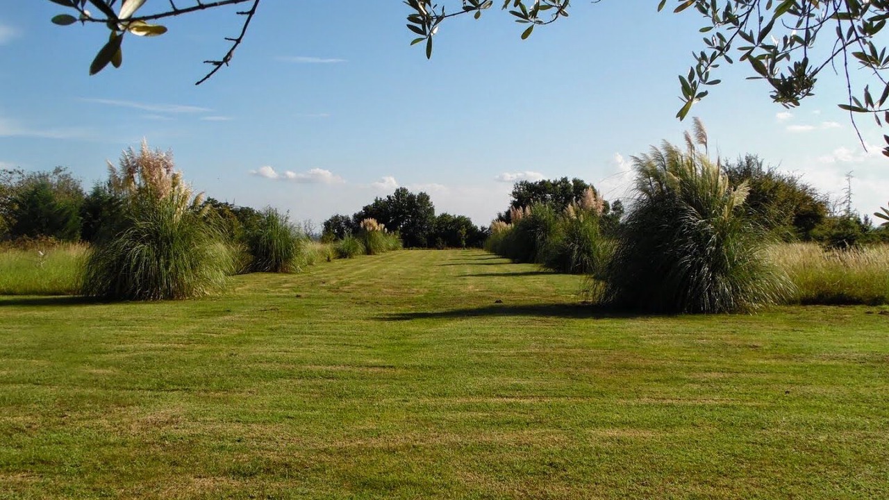 Photo of Outdoor in Bourg-sur-Gironde