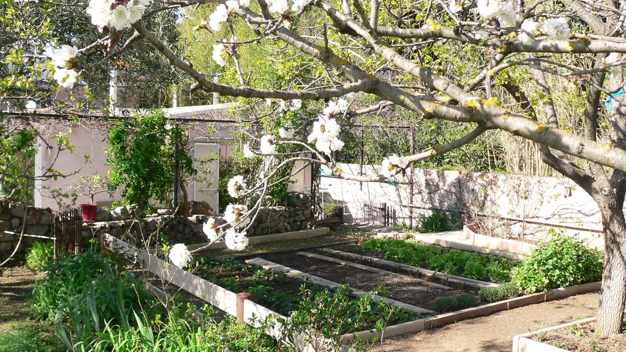 Photo of Outdoor in Pignan