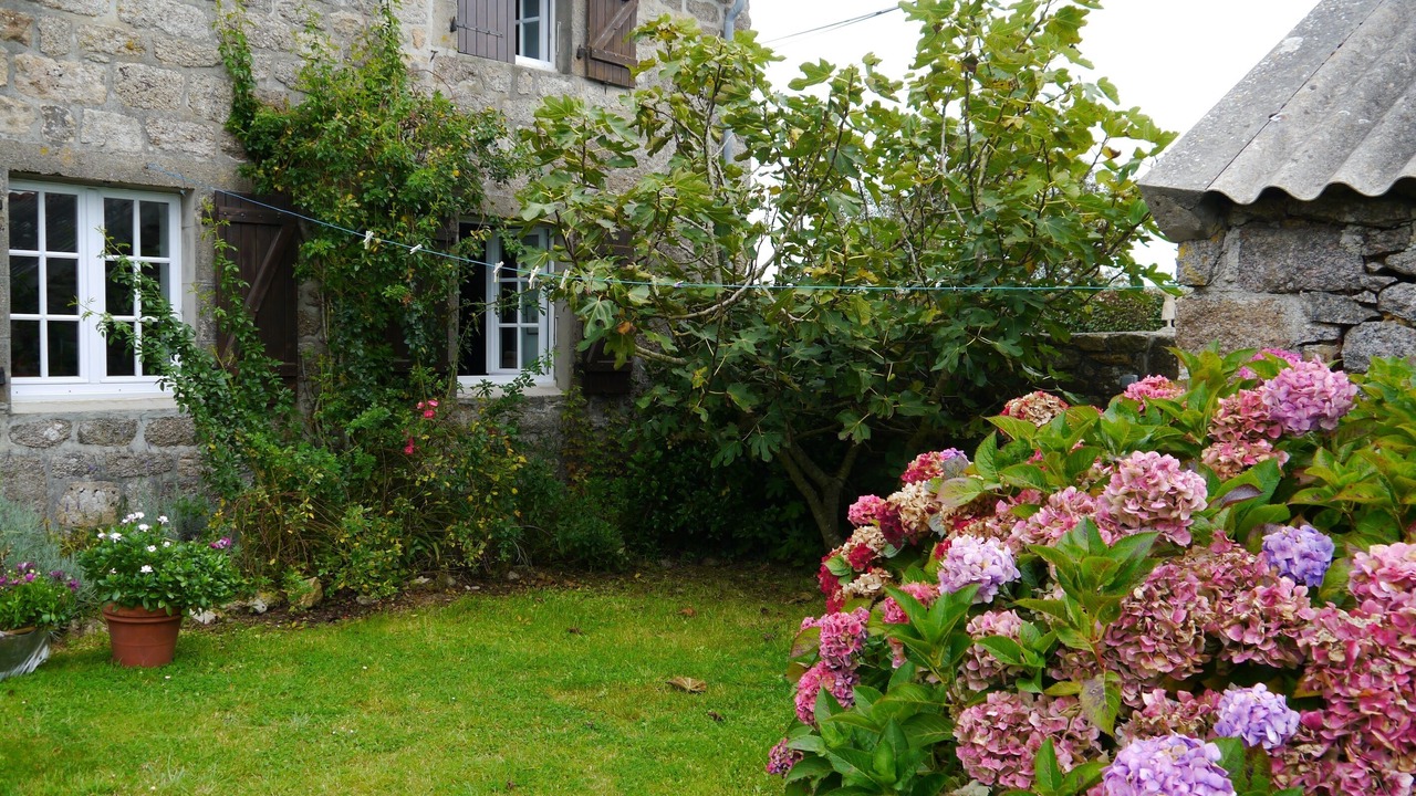 Photo of Outdoor in Lanildut