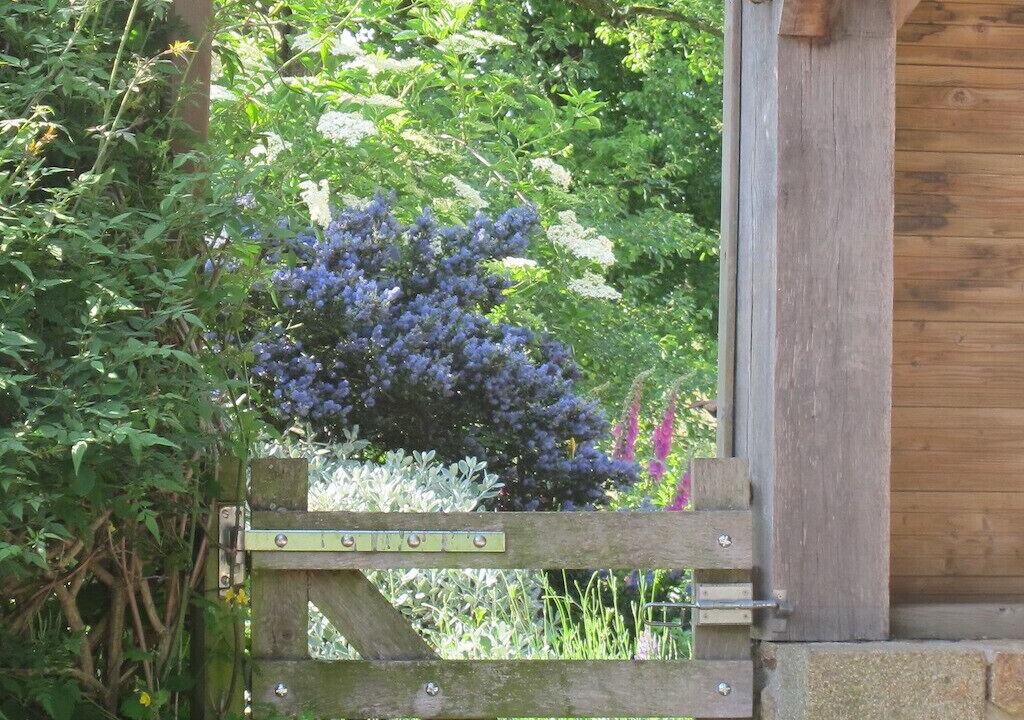Photo of Outdoor in Chantrigne