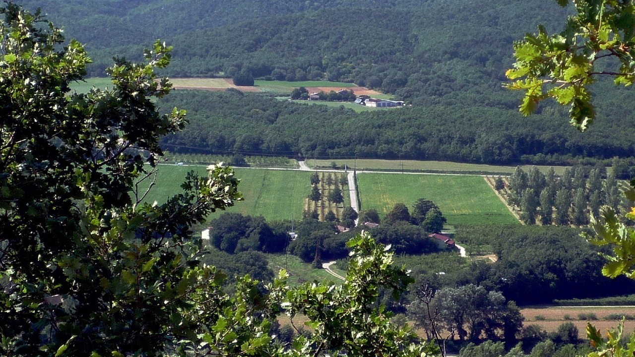 Photo of Outdoor in Grane