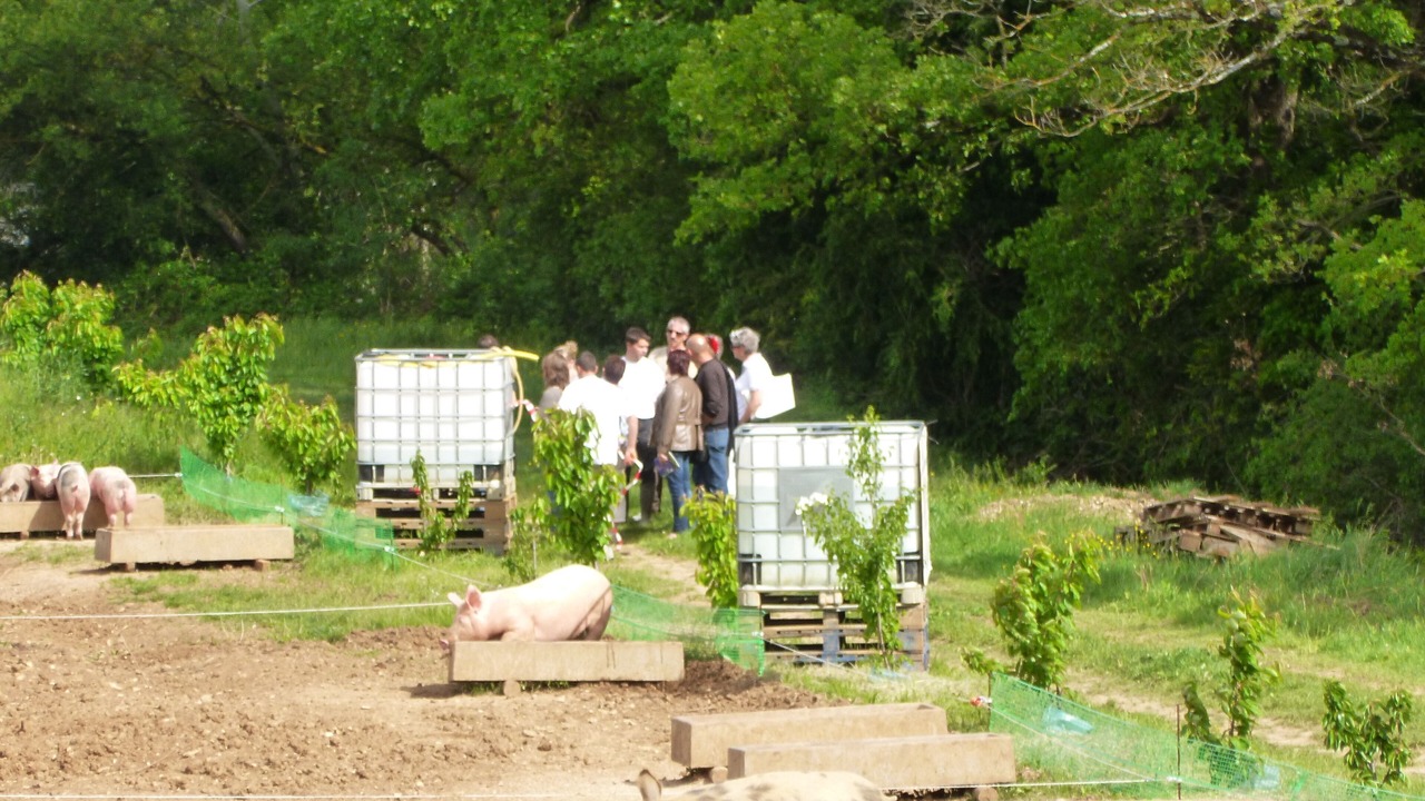 Photo of Outdoor in Grane