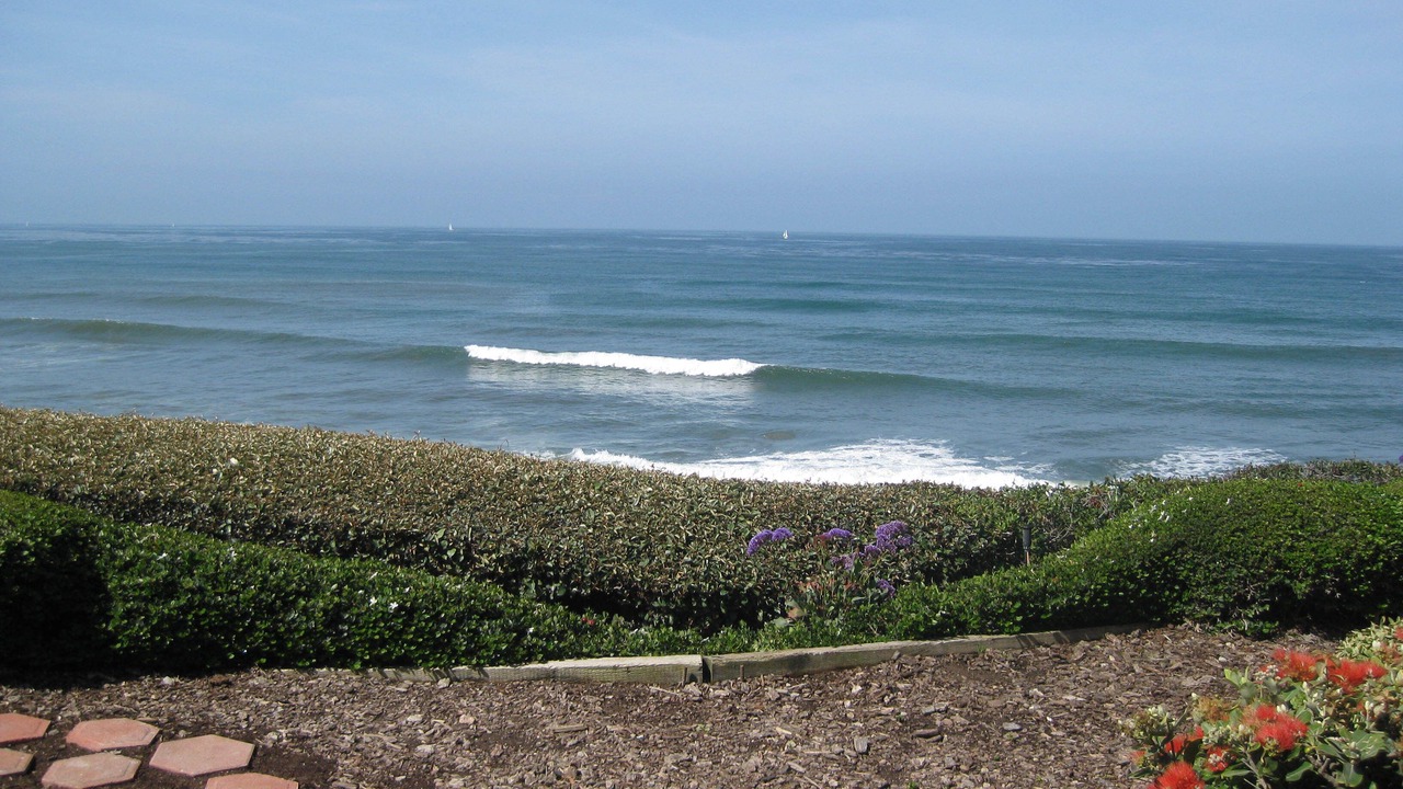 Photo of Outdoor in Ocean Beach