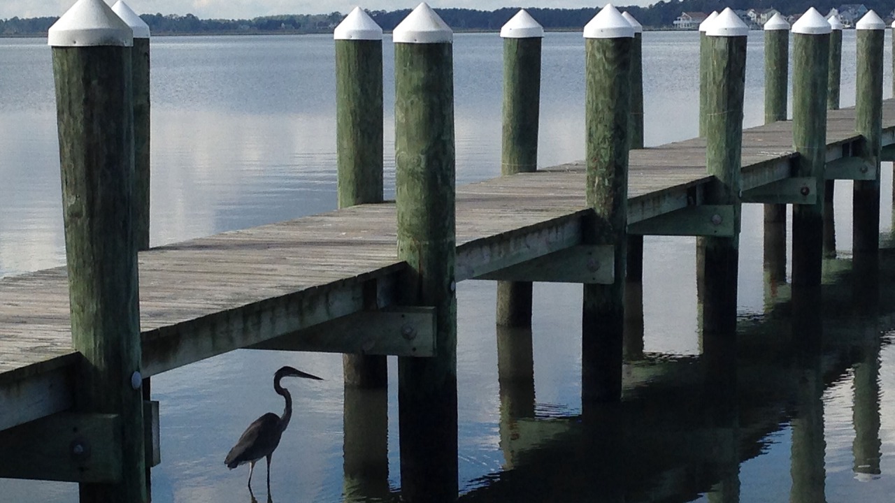 Photo of Outdoor in Bethany Beach