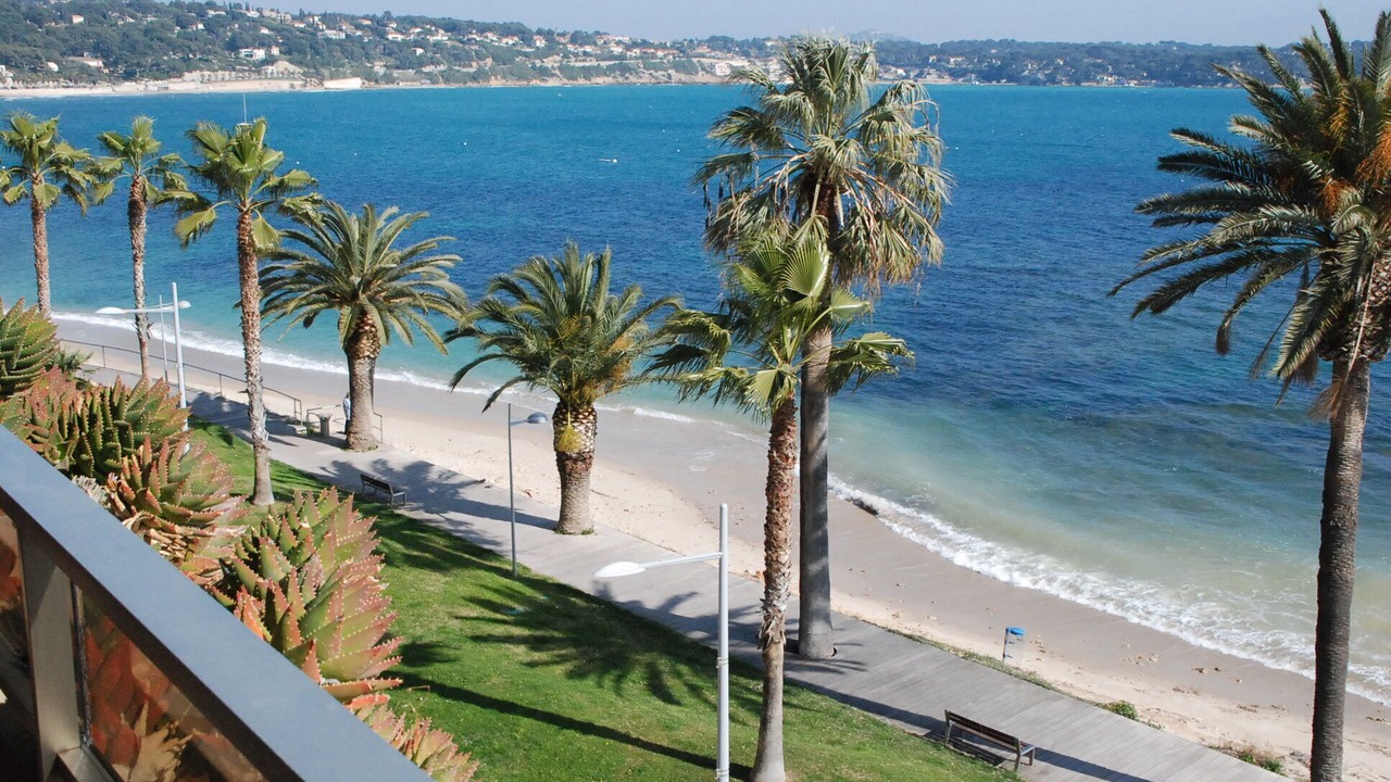 Photo of Others in Bandol