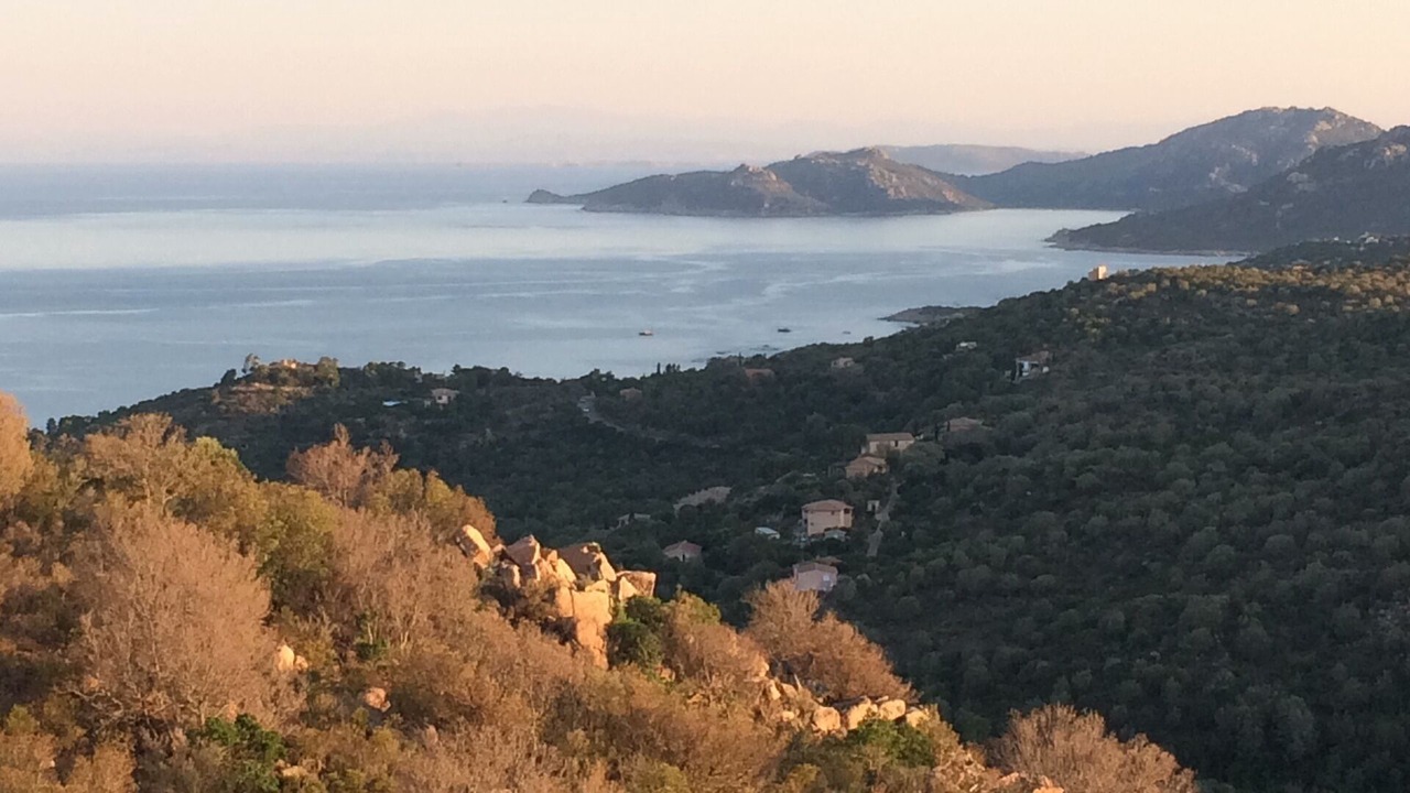 Photo of Others in Porto-Vecchio