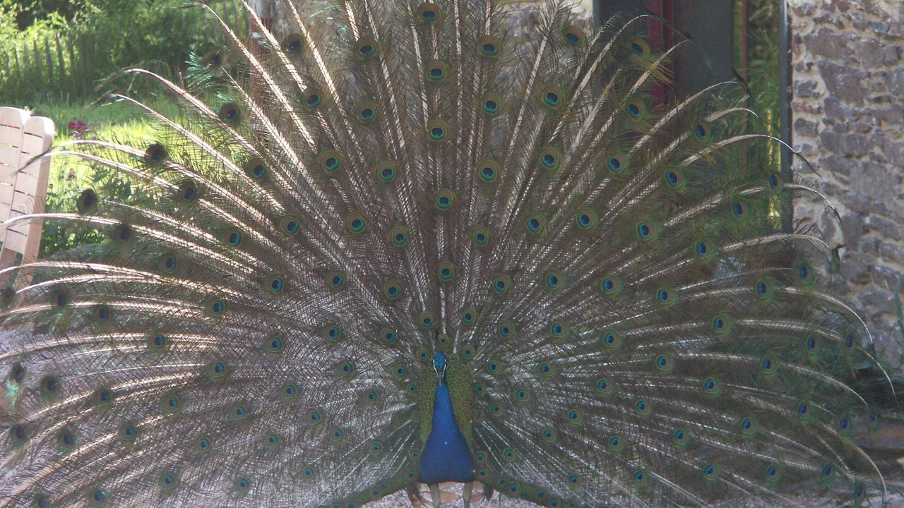 Photo of Outdoor in Iffendic