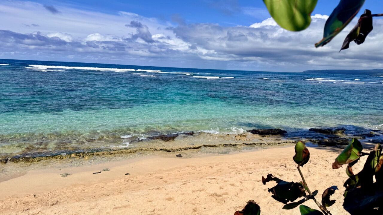 Photo of Others in Mokuleia