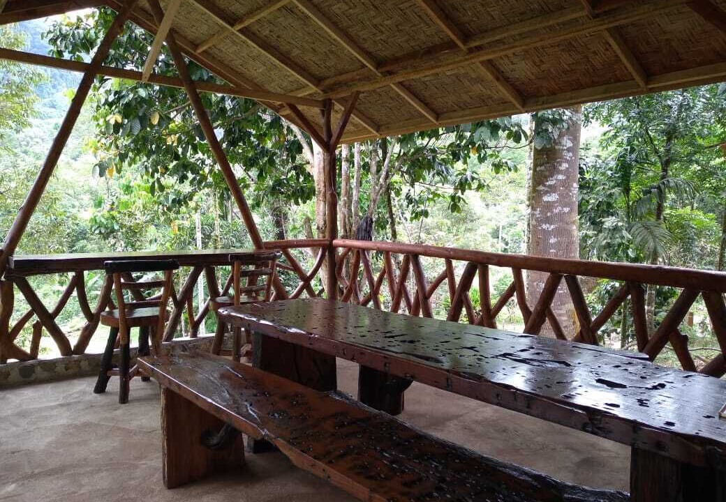 Photo of Outdoor in Bohorok