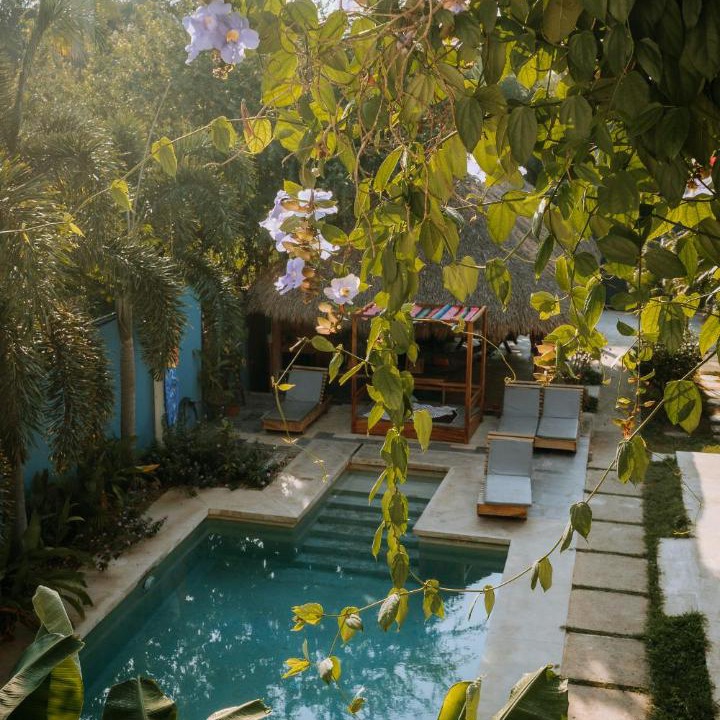 Photo of Others in Los Tamarindos